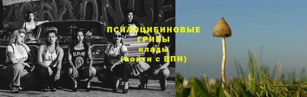МДМА Богданович