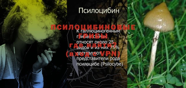 МДМА Богданович