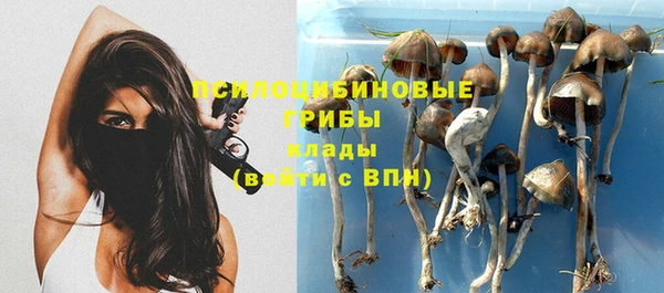 прущие крисы Богородск