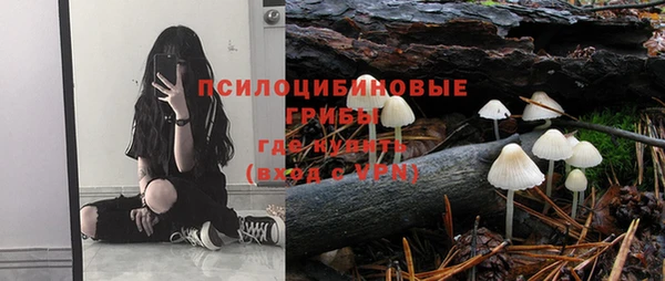 МДМА Богданович